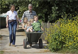 Смешанное страхование жизни